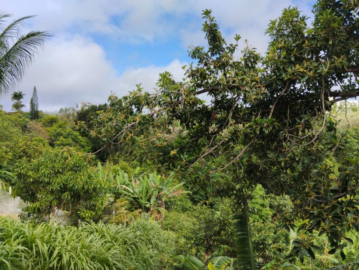 Apartamento Cercado Por Natureza E Diversao Maceió Extérieur photo